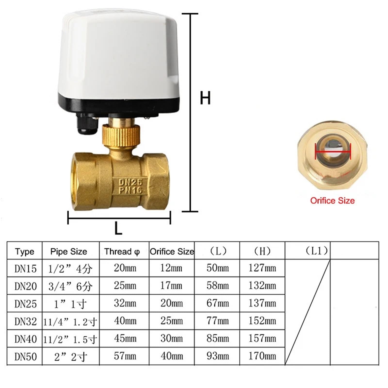 Valvola a sfera motorizzata in ottone con controllo a 3 punti, 1/2" 3/4" 1" 2" AC220V 220VAC 24VDC 12VDC 24VAC(2",220VAC)