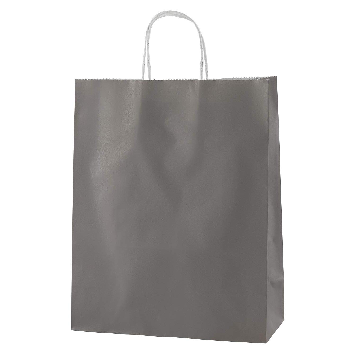 Thepaperbagstore 10 Grey Medium Paper Bags with Handles, 25x11x31cm, Colourful Paper Gift Bags for Adults and Kids