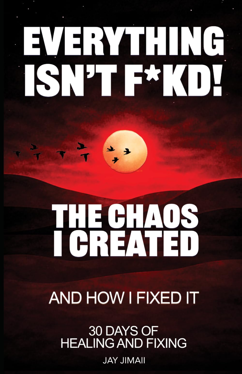 Everything Isn’t F*kd - The Chaos I Created and How I Fixed It: How to Stop Self-Sabotage, Take Responsibility, and Build Stability