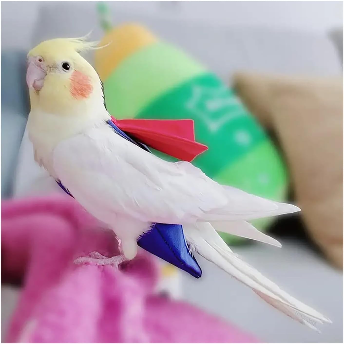 Bird Diaper, Parrot Diaper Cute Bird Physiological Cockatiel Pigeons Pet Birds Flight Suit Clothes Nappy Washable(S (for Budgie))