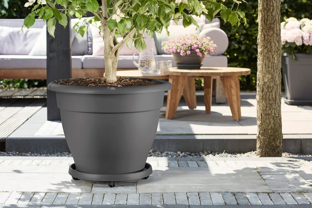Elho Universal Planttaxi 40 - Untersetzer für Innen, Außen Und Zubehör - 38.2 x H 6.5 - Anthrazit 40 cm
