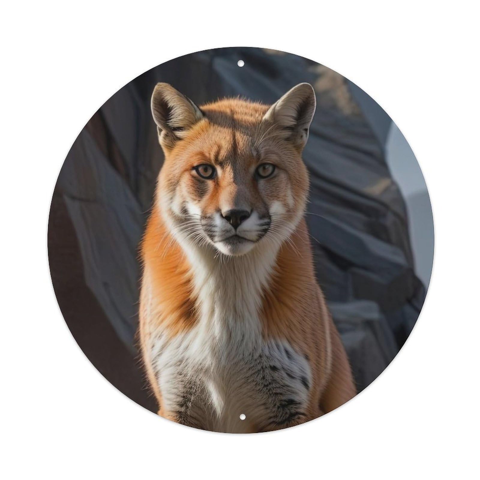 Animal Poster Fox in The Mountains Metal Tin Sign