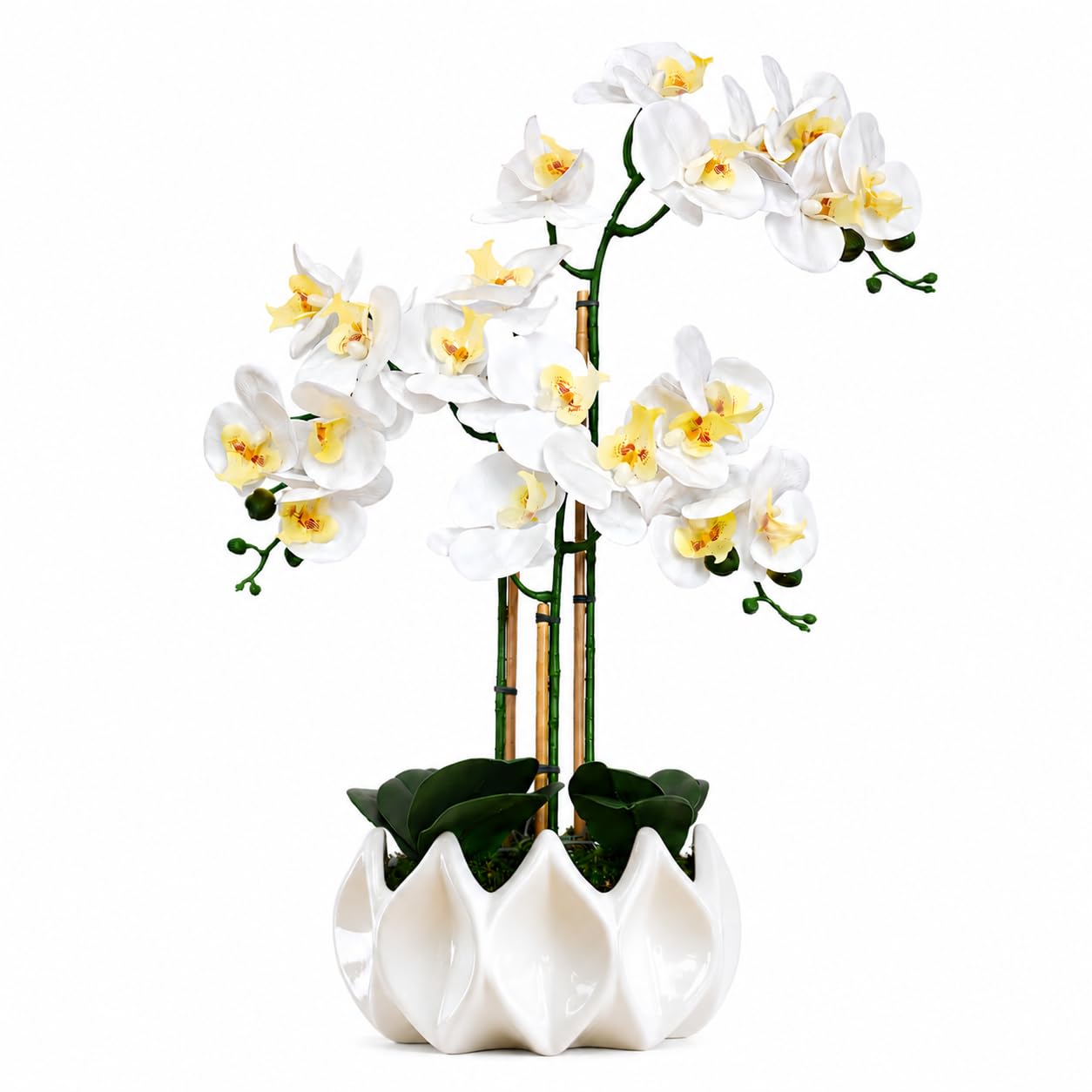 Künstliche Orchideen wie echt 70 cm – Handgefertigte Phalaenopsis Kunstorchidee im weißen Keramik-Topf mit echtem Bambus, pflegefrei ohne Gießen – Deko (Weiß)