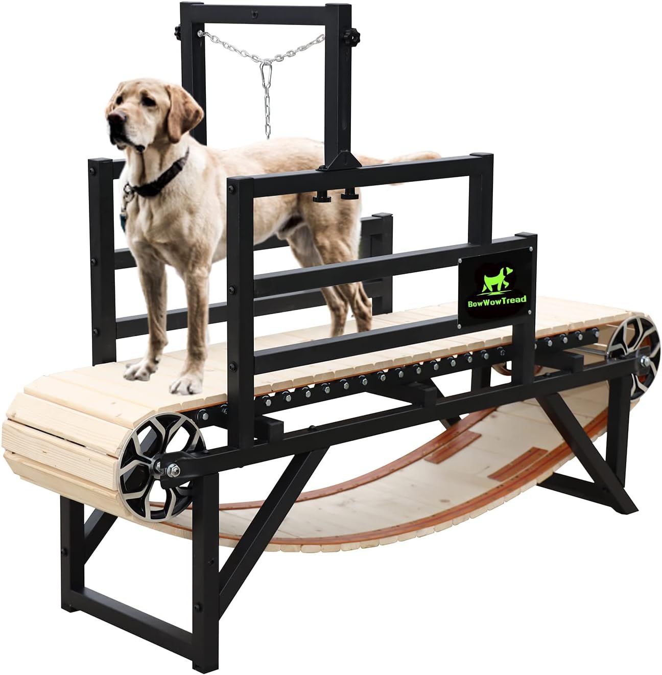 Carpet Mill Treadmill For Dogs Used Dog Pacer Treadmill Large Dogs