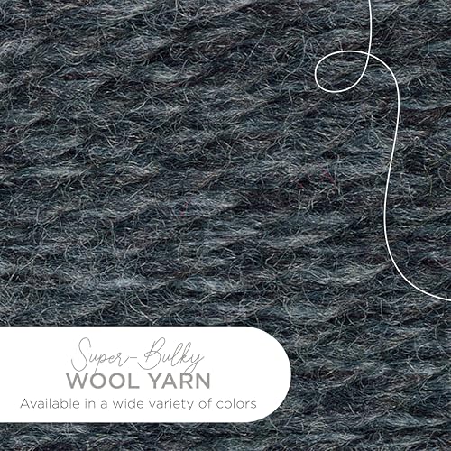 Lion Brand Yarn Wool-Ease Thick and Quick Yarn, Soft and Bulky Yarn for Knitting, Crocheting, and Crafting, 1 Pack, Charcoal