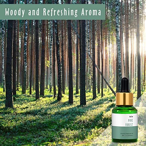 Image of Pine Forest Fragrance Oil, MitFlor Single Scented Oil, 30ml Large Size Premium Fragrance Oil for Soap & Candle Making, Aromatherapy Essential Oil for Diffuser, Fresh Woody Scent for Home Fragrance