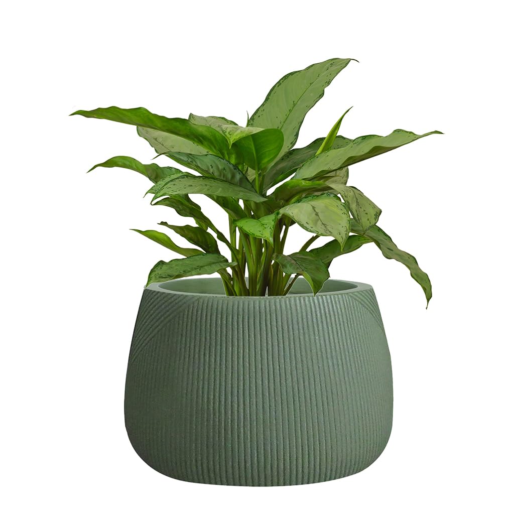 Dibor Fibre Clay Plant Pots 29cm Indoor/Outdoor Modern Rippled Finish Flower Pot Planters Patio Decking Lawn Doorstep Porch Houseplant Shrub Topiary Bush Plant Pot Clay Planters (Green, Small 8.5L)