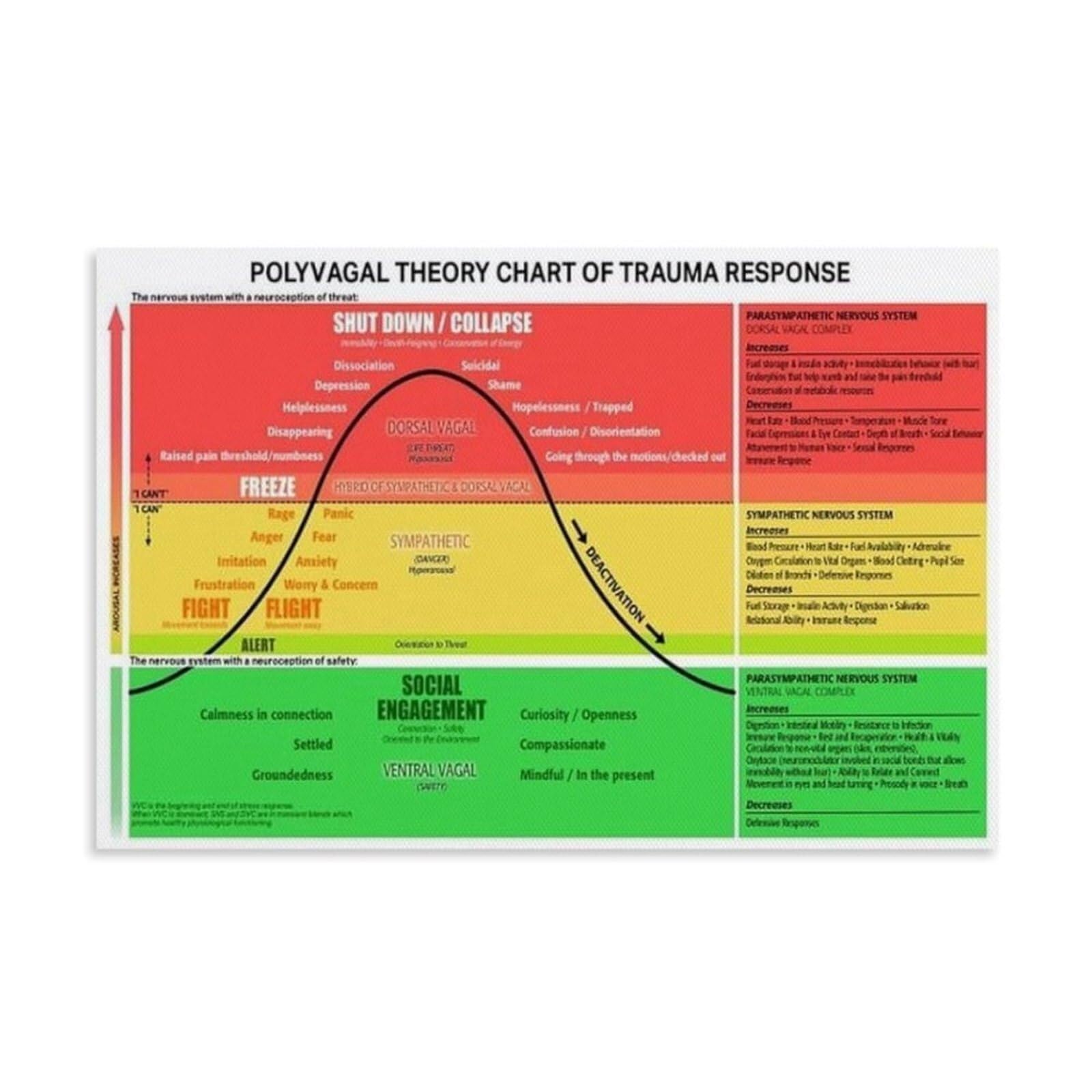 KCDFDVJFBM Vagus Nerve & Polyvagal Theory Chart: Trauma Response and Nervous System Regulation, Office Canvas Wall-Art(Framed,12x18inch(30x45cm))