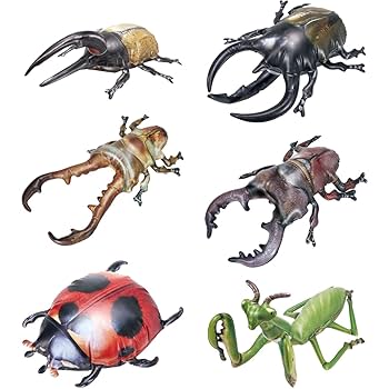 Amazon | 【6種コンプセット】生物探検隊～虫編2024～ （1