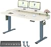 FLEXISPOT Standing Desk ONE PIECE Desktop Raised Shelf, Electric Height Adjustable Sit Stand Up with Backpack Hook Memory Smart Panel for Home Office, QN1 160 80cm Sierra Blue+Mousse White