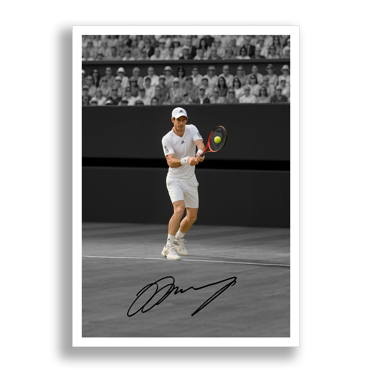 Andy Murray Tennis Legend Signed Photo Poster Print Picture Display Autograph Memorabilia for tennis fans Gift (A4 poster only)