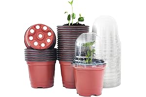 Plant Nursery Pots with Humidity Domes: Nurture Your Garden's Genesis