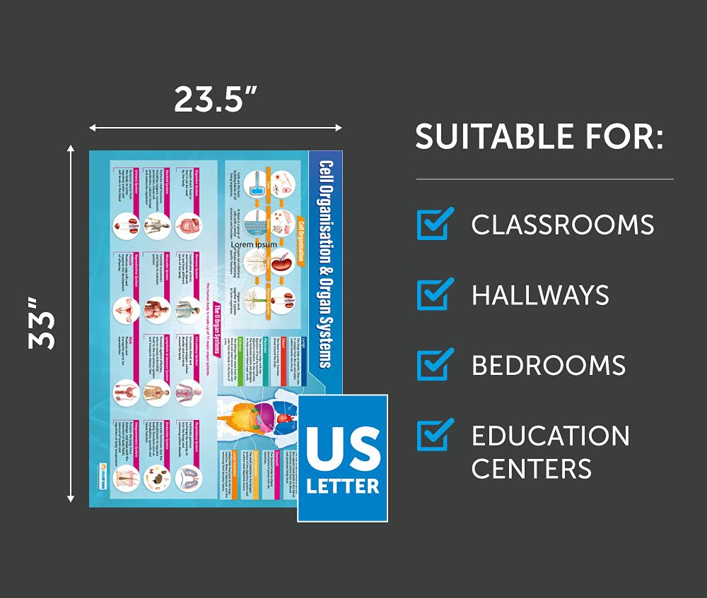 Daydream Education Plakaty biologiczne, zestaw 13 sztuk, plakaty naukowe, papier z połyskiem o wymiarach 850 mm x 594 mm (A1), wykresy naukowe dla klasy, wykresy edukacyjne