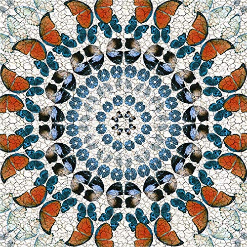 Lienzos decorativos de mariposas que transforman tus paredes con color y estilo nórdico 2