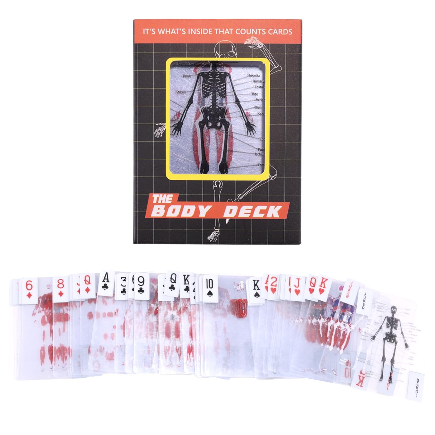 Lyreh The Body Deck Playing Cards