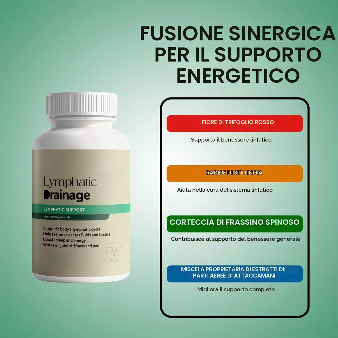 Drenaggio linfatico – Supporta il gonfiore, l'equilibrio dei liquidi e la salute linfatica quotidiana – Vegano