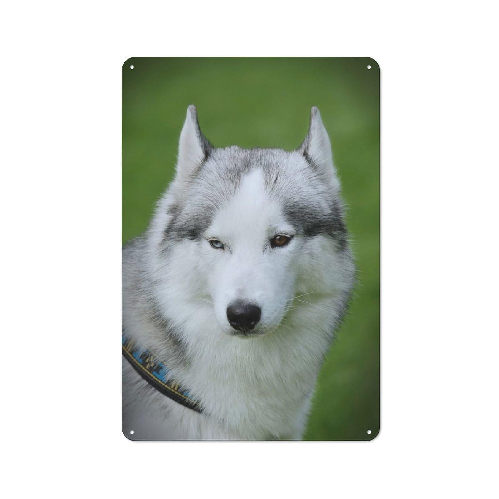 Metal Plaque with Siberian Husky Design 30x20cm, Vintage Bistro Wall Plaque for Coffee Bar, Kitchen, Bistro Or Tea Corner