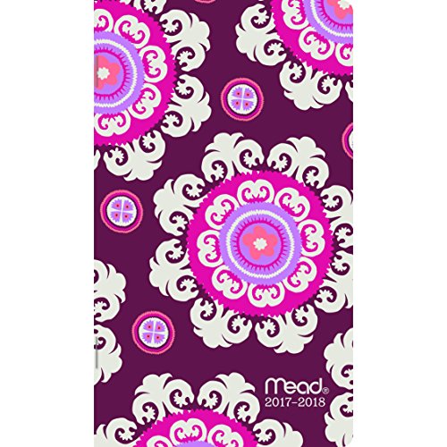 Mead Monthly Pocket Planner/Appointment Book 2017-2018, 2 Year, 3-5/8 x 6-1/4
