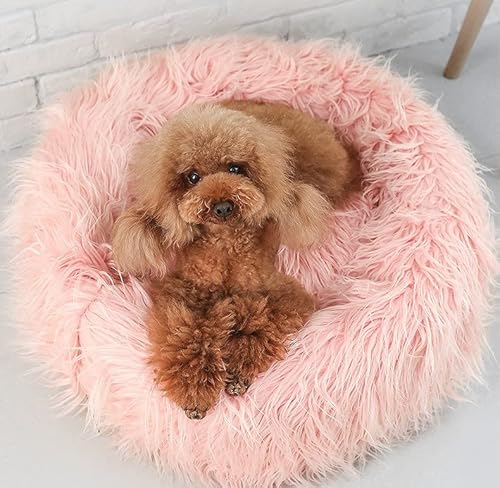 JG Cama Nuvem Pet Redonda Gato Cachorro Pelúcia Macia Tamanho G (Salmão)