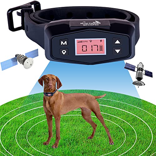 Catch Up The 14 Best Dog Boundary System In 2022 You Must Try Analyze