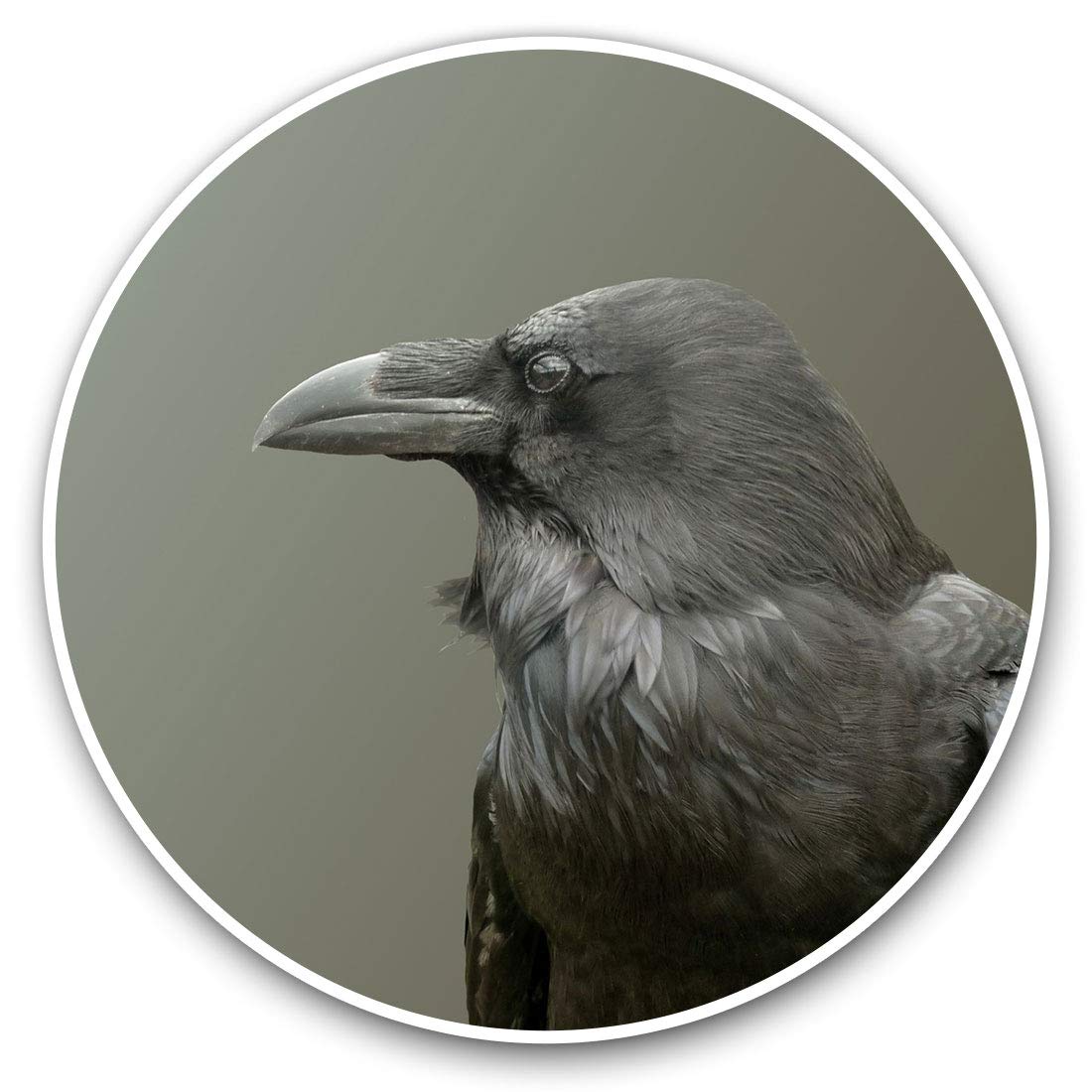 Awesome Vinyl Stickers (Set of 2) 15cm - Beautiful Black Raven Crow Black Bird Fun Decals for Laptops,Tablets,Luggage,Scrap Booking,Fridges #8342