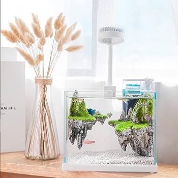 【受注生産】アクアテラリウム zyz様専用【アクアテラリウム完成品】一点物処分価格 - メルカリ