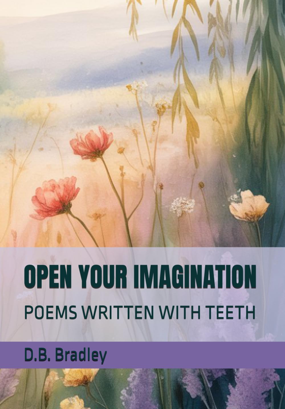 OPEN YOUR IMAGINATION: POEMS WRITTEN WITH TEETH