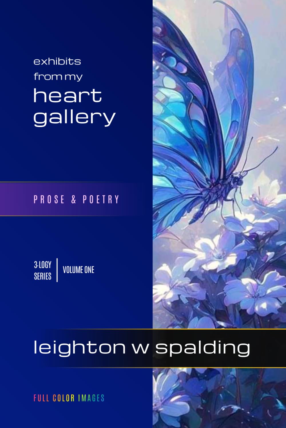 Heart Gallery: Practical Wisdom in Poetry and Prose (3logy Series)