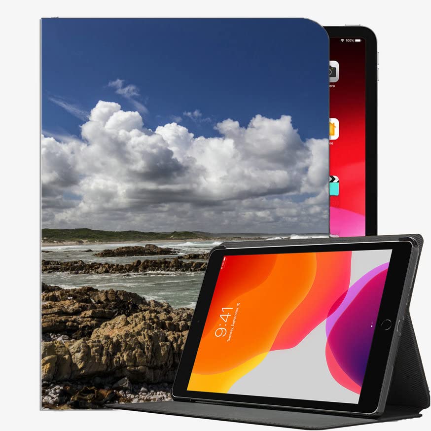 YENDOSTEEN For iPad Mini 1 2 3 Case(Old Model A1432 A1490 1455),Malm Malm Inrefyr Fyr Case Slim Shell Cover For ipad Mini 7.9 inch