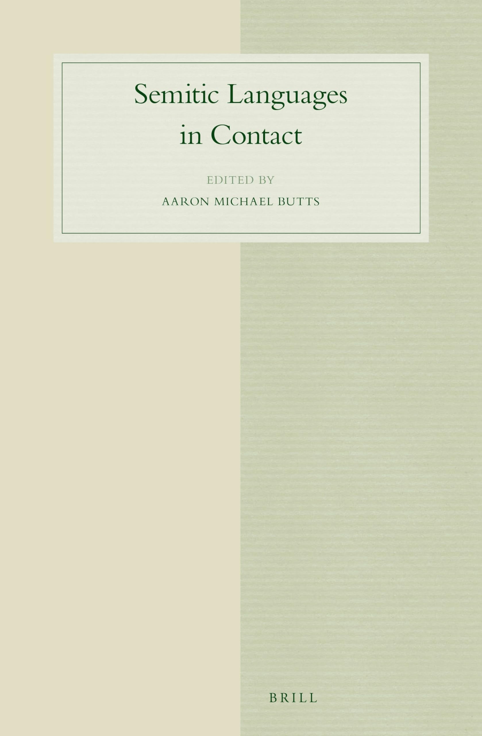 Semitic Languages in Contact: 82 (Studies in Semitic Languages and Linguistics, 82)