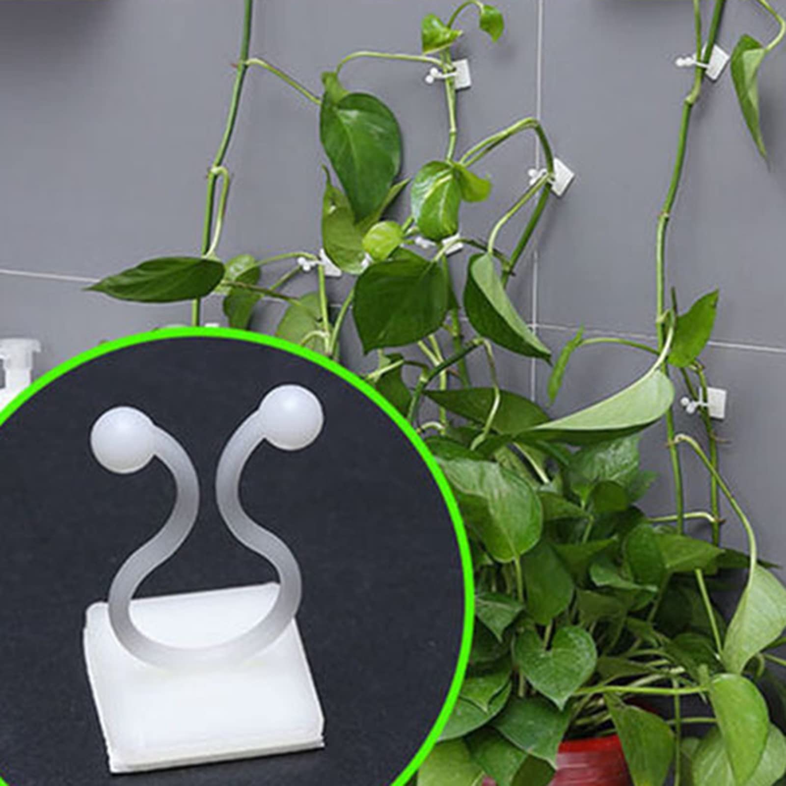 Clips De Fixation Murale Pour Plantes Grimpantes, 100 Pièces