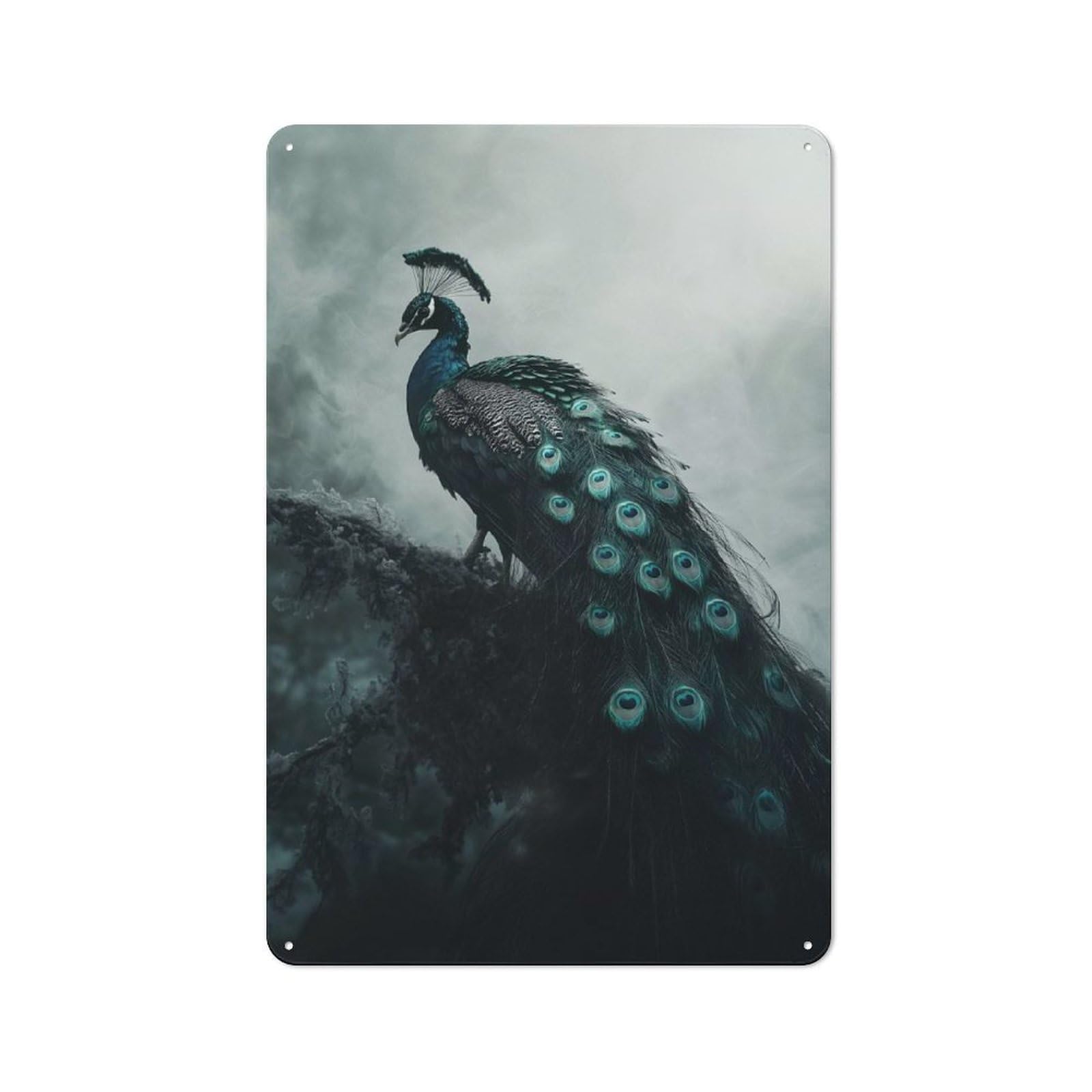Junmoney Peacock In Fog Rustic Metal Sign 30X20cm For Lounge Or Reading Corner, For Reading Corner Decorators