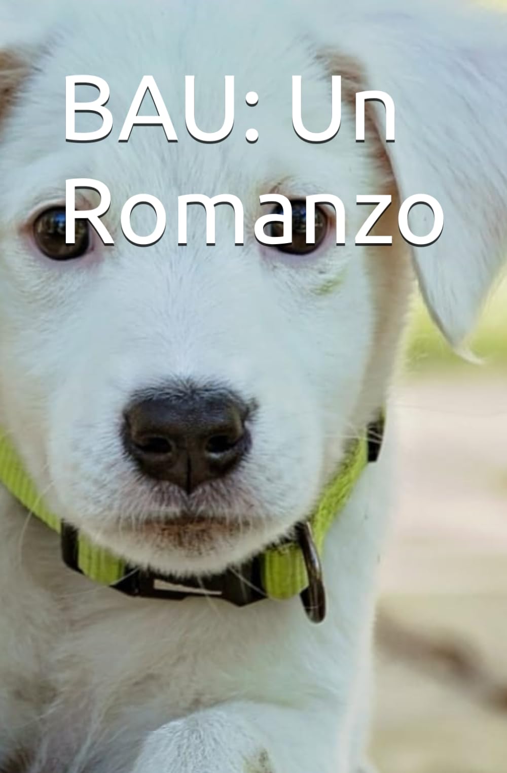 BAU: Un Romanzo