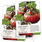 Package of 30 Seeds, Turks Turban Winter Squash (Cucurbita maxima) Non-GMO Seeds by Seed Needs)