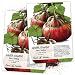 Package of 30 Seeds, Turks Turban Winter Squash (Cucurbita maxima) Non-GMO Seeds by Seed Needs