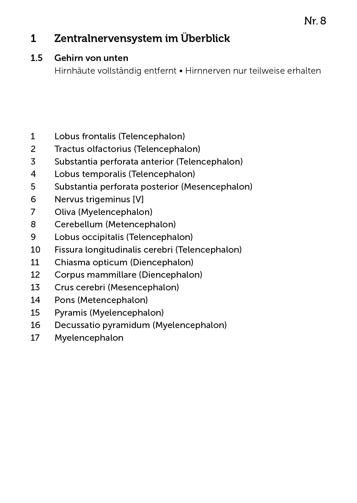 Lernkarten Neuroanatomie: Authentische Vermittlung der einzelnen Präparationsschritte auf 167 Lernkarten