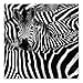 Produktbild DekoGlas Glasbild 'Zebra' Echtglas Bild Küche, Wandbild Flur Bilder Wohnzimmer Wanddeko, einteilig 100x100 cm