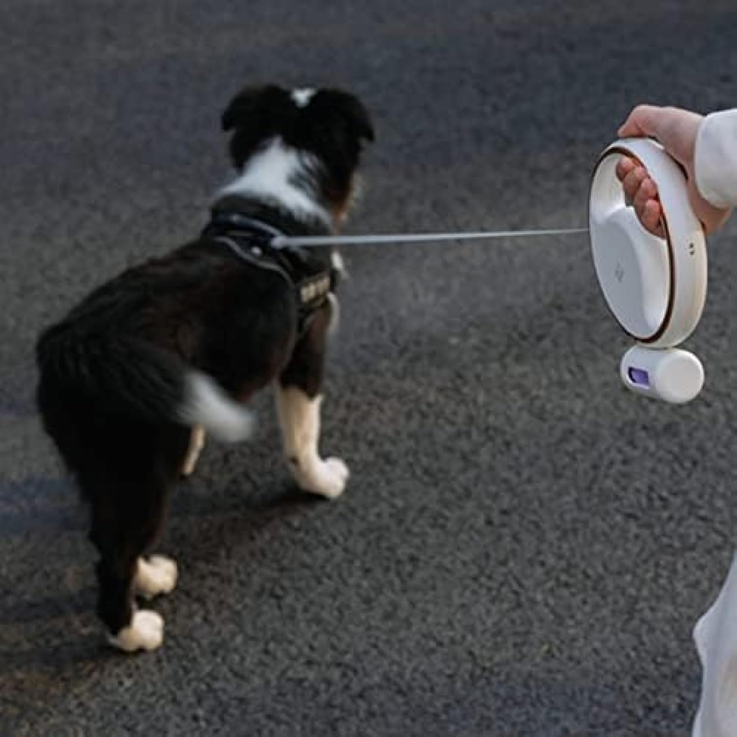 Correa Retráctil para Perros con Dispensador De Bolsas De Caca 3 M, con Luz Led, Correa para Perros Extensible para Mayor Visibilidad Y Seguridad, Black