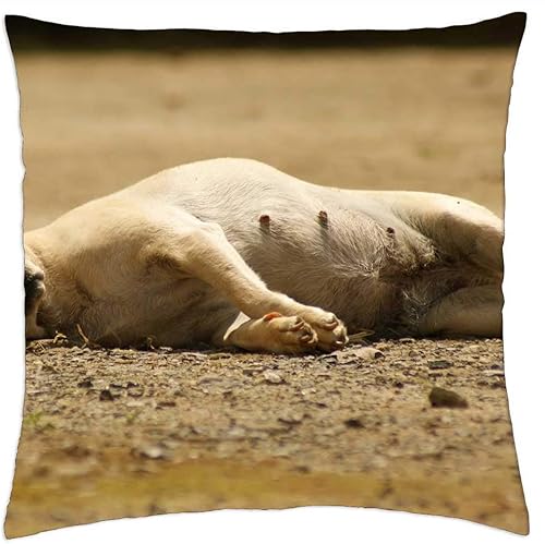 LESGAULEST Funda de almohada (16 x 16 pulgadas) - Variedad Landscapes Axis Coffee Quindio Colombia 1