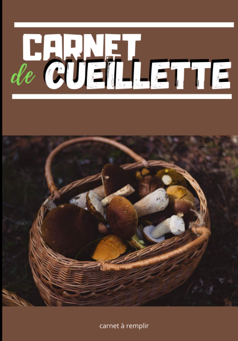 Carnet de cueillette: Carnet à remplir pour les amateurs de champignons | 100 fiches pour consigner vos récoltes de champignons | 10 pages de notes ... matières | Format pratique 15,2 x 22,8 cm