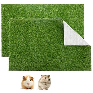 Aulock 2 Pcs Artificial Grass Guine...