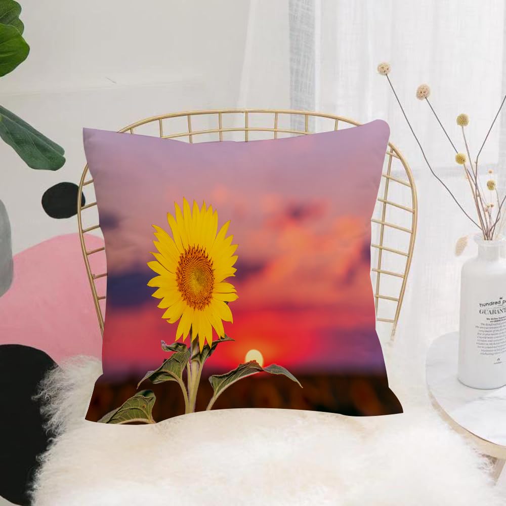 HYOSXW Cushion Cover,Throw Pillow Case Home Decorative for Living Room Bedroom Sofa Chair 16X16 Inch,Field of sunflowers. Field of sunflowers close up,Pillowcase 40X40cm