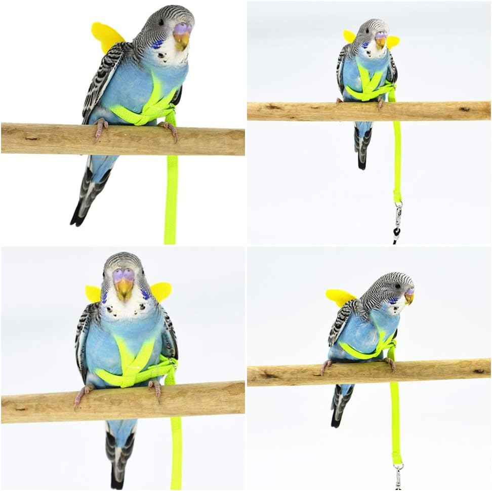 bird harness petsmart
