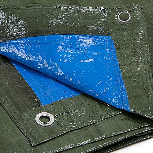 TELO COPRITUTTO. DI GIULIO SRL Telo OCCHIELLATO Bicolore Verde-Blu 90 g/m² 5X5