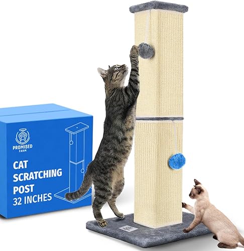 PROMISED FARM Tall Cat Scratching Post 32 Inches - Protects Furniture - Durable and Sturdy Design - Aesthetic Cat Accessories Essentials Grey/Blue - Grey / Blue