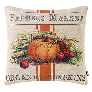 TRENDIN Farmhouse Fall Decorations Farmers Market Pumpkin Pillow Cover 18×18 inch Autumn Decor Thanksgiving Throw Cushion Cover for Sofa Couch PL532TR