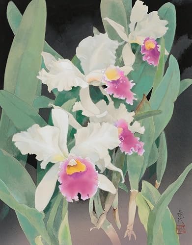 Posterazzi Ran - Póster de Haruyo Morita (11 x 14)