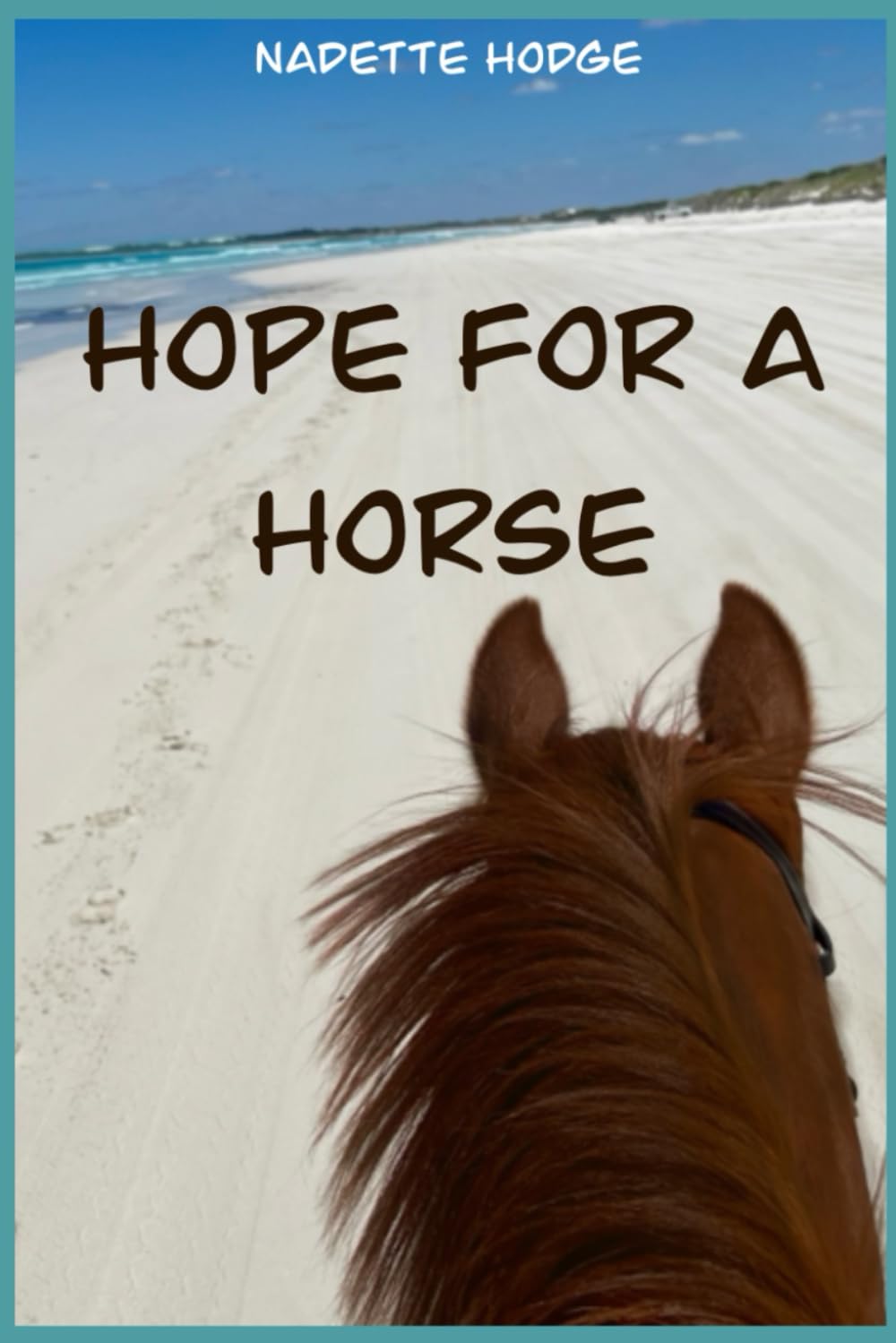 Hope for a horse