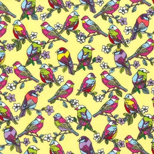 Fat Quarter Feathered Friends Birds Cotton Quilting Fabric 50cm x 55cm