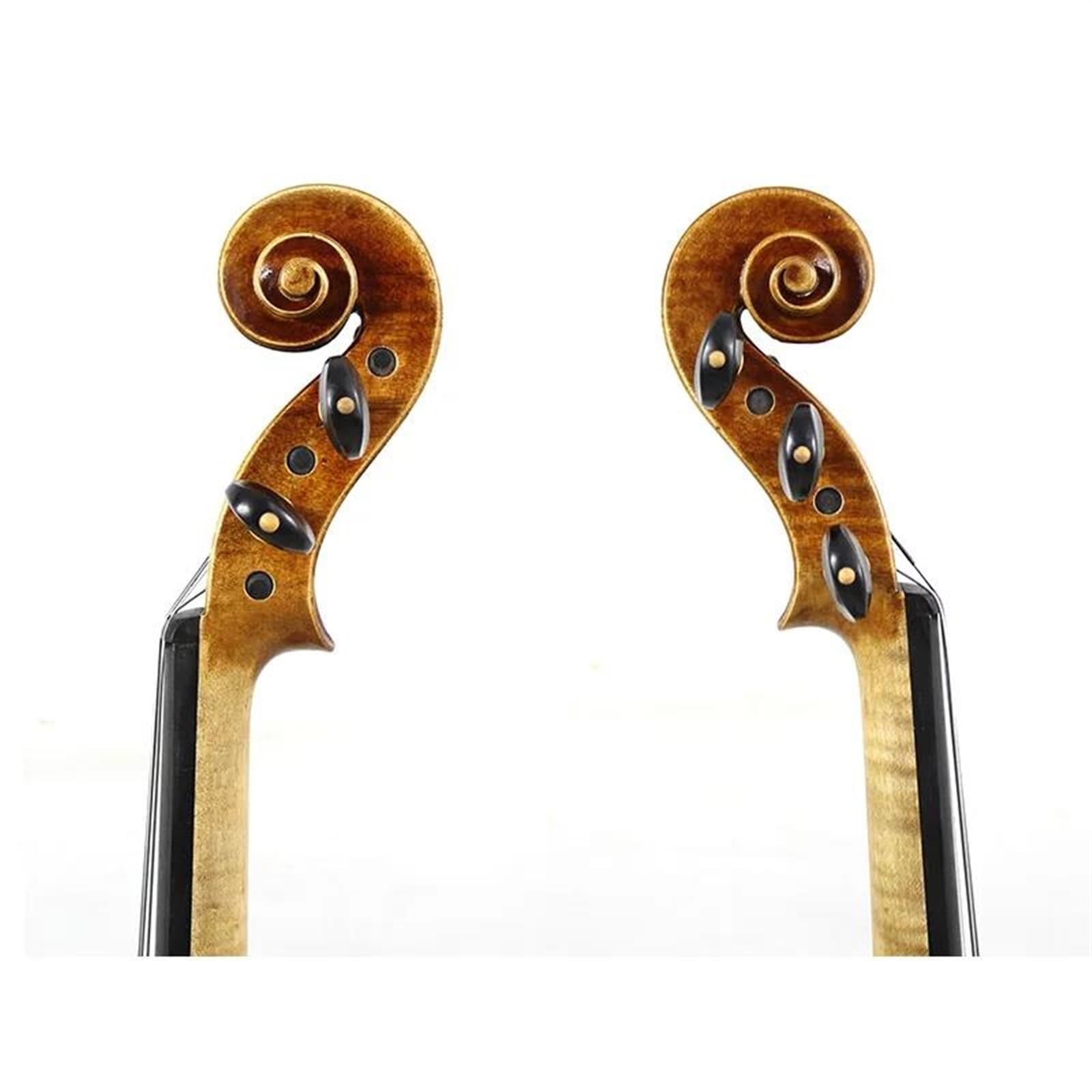 Violino Set Violino a 5 corde Violino 4/4 Violino acustico con vernice anticata
